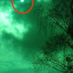 phoca_thumb_m_zatmn a zajci 46 Fotogalerie